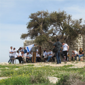 סיור